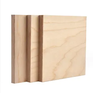 Hot Selling 9mm / 12mm / 18mm Raw Eucalyptus Plywood 4x8 Plywood Cheap Laminated Plywood For Construction