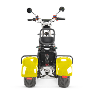 Tricycle <span class=keywords><strong>Électrique</strong></span> à Double Moteur 4000W 2026 pour Femmes - E-tricycle - Product Image 6