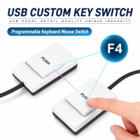 Pédale USB mains libres pour l'acquisition d'images en échographie médicale et endoscopie, programmable pour gastroscope et coloscopie