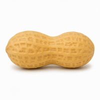 Jouet Squishy Cacahuète à Remontée Lente en PU, Jouet Anti-Stress à Presser, Fidget Sensoriel de Bureau pour Enfants et Adultes