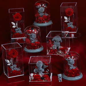 Vendita all'Ingrosso <span class=keywords><strong>di</strong></span> <span class=keywords><strong>Rose</strong></span> Eterne Preservate con Orsacchiotto e Coniglietto, Regalo Fatto a Mano in Cupola <span class=keywords><strong>di</strong></span> Vetro Acrilico <span class=keywords><strong>per</strong></span> San Valentino - Product Image 6