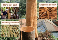 Bâtonnets de cannelle de Ceylan pure et naturelle d'Indonésie, origine Sri Lanka, haute qualité, arôme intense, en vrac