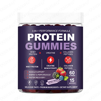 Gummies protéinés OEM en gros, saveur fruits rouges mélangés, 60 gummies avec créatine monohydrate, complément alimentaire pour adultes