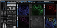 Microscope confocal à balayage laser BestScope BCF-297A pour la biologie, la médecine, la sécurité alimentaire, avec un rapport signal/bruit élevé et un balayage haute vitesse