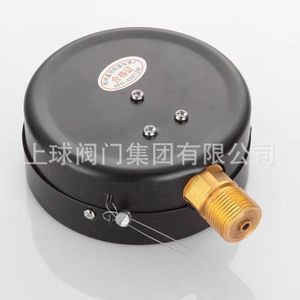 Manomètre Hangzhou Fuyang Hongsheng Y100 1,6 MPa en acier pour réservoir d'air radial et mesure de pression d'eau - Product Image 3