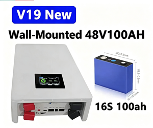 Caja de Batería DIY de 5kWh, 16s 48v 100ah Lifepo4, Kit DIY Compatible con <span class=keywords><strong>EVE</strong></span> 100ah con JK V19 BMS CAN - Product Image 1