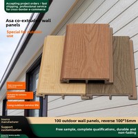 Paneles de Pared ASA Coextruidos con Relieve de Madera, Impermeables y Anticorrosivos, Tableros Decorativos para Exteriores, Villas, Cabañas y Jardines