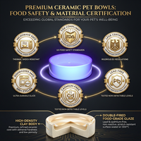 Bol en céramique personnalisé en forme de fraise, design mignon de fruits, pour chiens et chats, gamelle d'alimentation et d'eau, distributeurs personnalisés en gros OEM