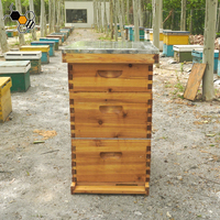 Vente Chaude Ruches Complètes en Bois Enduit de Cire Langstroth 10 Cadres