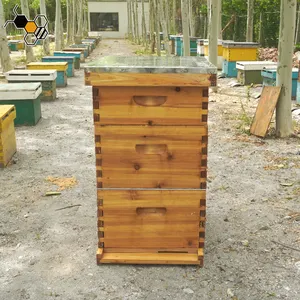 Vendita calda alveare in legno rivestito di cera completo langstroth beehive 10 cornici