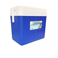 Glacière rigide isolée 30L en plastique PP, durable, étanche, pour l'extérieur, avec poignée et maintien de la glace pendant 5 jours, pour bière, cola et aliments