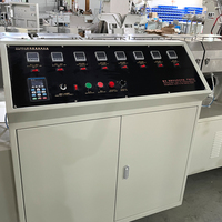Machine d'extrusion de bâtons de coton-tige en plastique PP PLA PE Machine de fabrication de bâtons de sucette