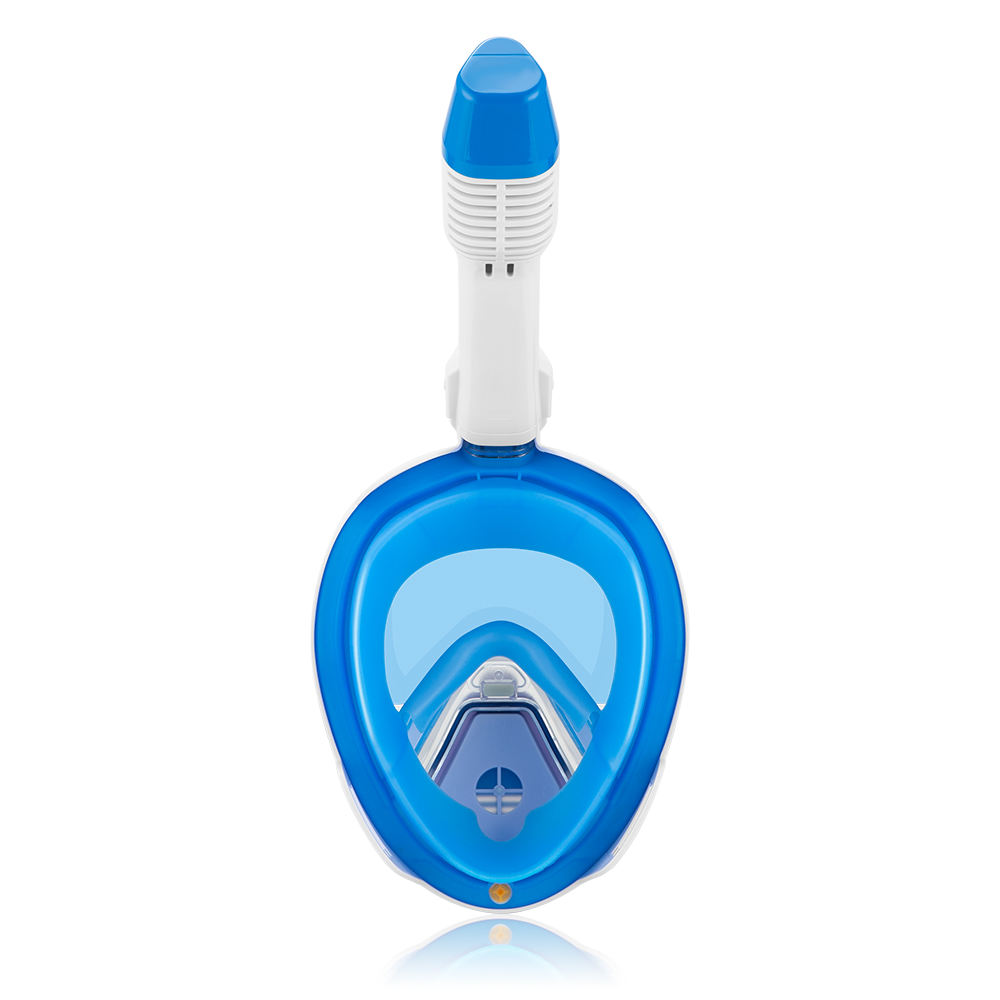 สีฟ้า &amp; สีขาว