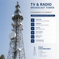 Tour en treillis en acier galvanisé à chaud de haute résistance pour l'infrastructure de diffusion télévisuelle et radio FM – Tour professionnelle