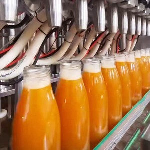 Machine de remplissage et de bouchage de bouteilles PET entièrement automatique CE, ligne rotative à 4 têtes de rinçage et d'étiquetage pour jus de pomme, d'orange et de mangue - Product Image 4