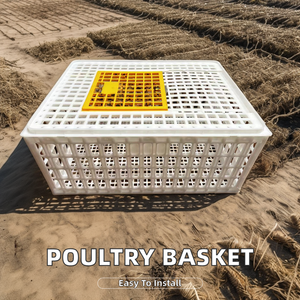 Jaula <span class=keywords><strong>de</strong></span> Transporte Plegable y Resistente <span class=keywords><strong>de</strong></span> 5 kg para Aves <span class=keywords><strong>de</strong></span> Corral, Jaula <span class=keywords><strong>de</strong></span> Transporte para Gansos, Caja <span class=keywords><strong>de</strong></span> Transporte Plegable para <span class=keywords><strong>Pollos</strong></span> <span class=keywords><strong>de</strong></span> <span class=keywords><strong>Engorde</strong></span> para Granja - Product Image 4