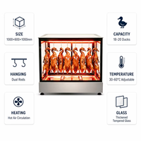 Vitrine chauffante thermostatée professionnelle pour canard rôti, poulet entier, ventre de porc croustillant et viande BBQ