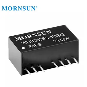 36V ~ 75V 48V Naar 12V 1W Dc Converter Hoge Kwaliteit Mornsun Single Output Dc/Dc Converter WRB4812S-1WR2