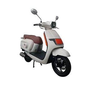 Jialing Motor 2025 nuevo adulto combustible motocicleta combustible bicicleta Motor moda combustible bicicleta - Product Image 2