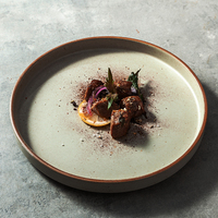 Service d'assiettes en porcelaine naturelles peintes à la main – Vaisselle en céramique pour restaurants à thème, hôtels, banquets et événements