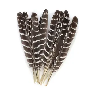 200 Variety Feathers for Crafting Ostrich Turkey Chicken Duck