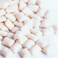 Stock disponible – Chewing-gum énergétique saveur menthe arctique naturelle pour adultes