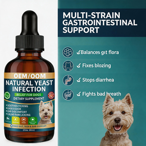 Gotas para Infecciones por Hongos en Perros OEM/ODM - Sin Granos, Absorción Rápida, 60ml, Reduce la Irritación, la Inflamación, Calma la Picazón y Alivia el Oído - Product Image 4