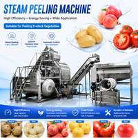 Automatische stoomschilmachine voor fruit & groenten |   Hoge Efficiëntie Schilmes