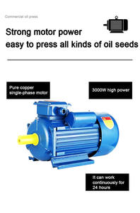 Machine <span class=keywords><strong>d</strong></span>'extraction à froid <span class=keywords><strong>de</strong></span> beurre <span class=keywords><strong>d</strong></span>'<span class=keywords><strong>olive</strong></span>, <span class=keywords><strong>d</strong></span>'avocat, <span class=keywords><strong>de</strong></span> sésame et <span class=keywords><strong>de</strong></span> cacao <span class=keywords><strong>de</strong></span> haute qualité pour les petites entreprises - Product Image 5