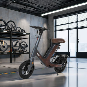 Pneu pneumatique 14 pouces vélo électrique GPS siège de batterie au lithium alliage de magnésium usine directe scooter électrique - Product Image 1