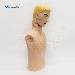 Modelo Avançado de Cuidados com Sonda Nasogástrica e Traqueal - Product Image 4