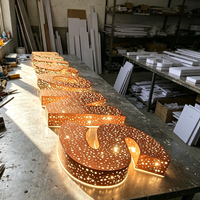 Enseigne lumineuse LED sur mesure effet ciel étoilé, logo scintillant pour façade de magasin, bar, club, boîte de nuit, décoration