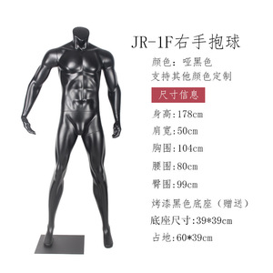 Camisetas deportivas Entrenamiento Ropa deportiva Pantalla Cuerpo completo <span class=keywords><strong>Hombre</strong></span> Muscular Deporte Maniquí con baloncesto - Product Image 4