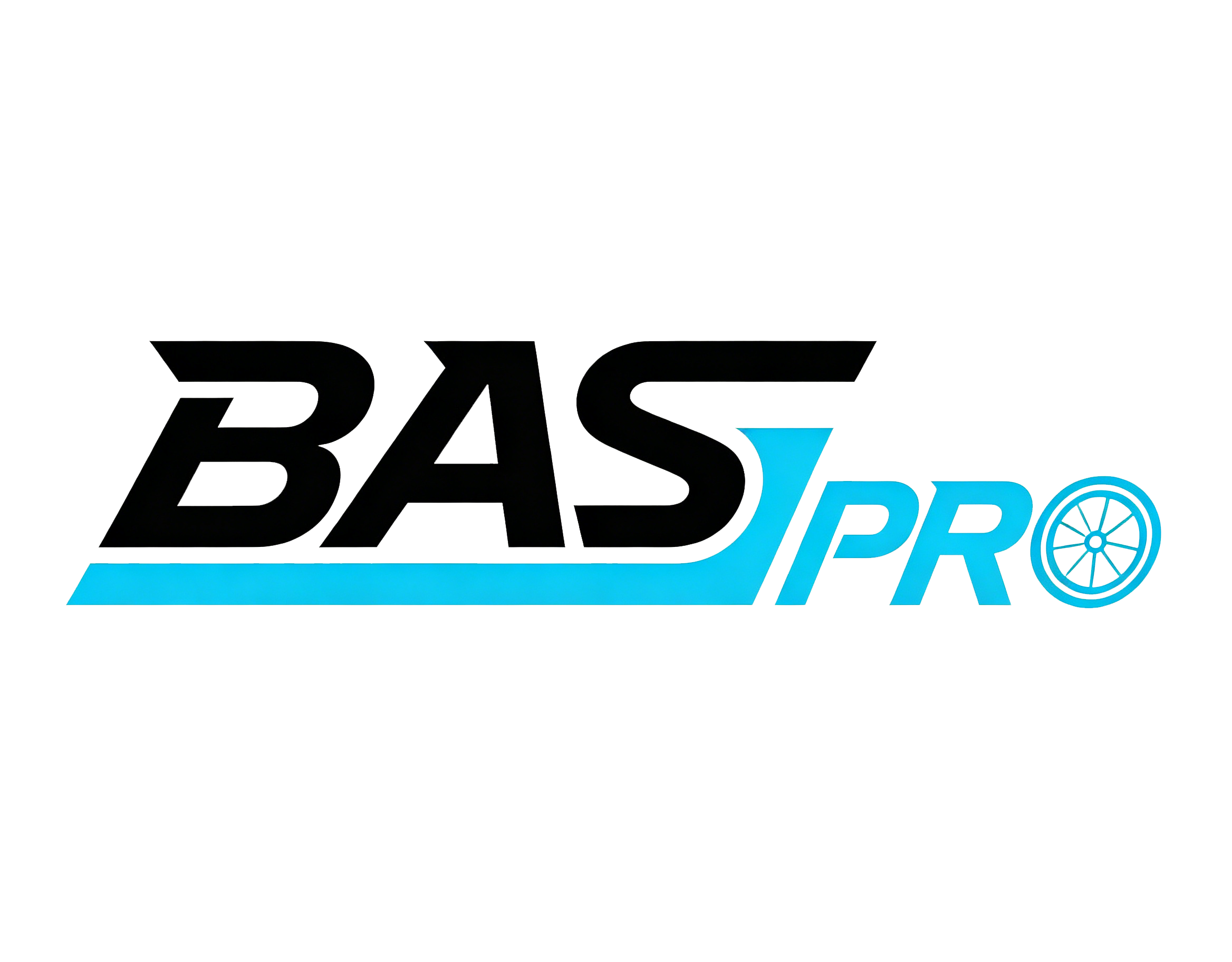 Shenzhen Baisi Sports Goods Co., Ltd. logo
