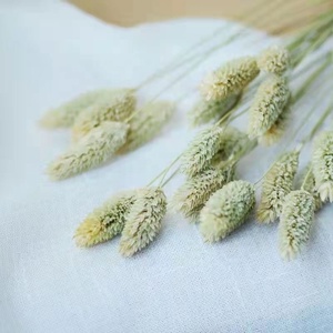 Ramo <span class=keywords><strong>de</strong></span> flores secas naturales para decoración del hogar y boda, 2023 unidades, gran oferta - Product Image 4