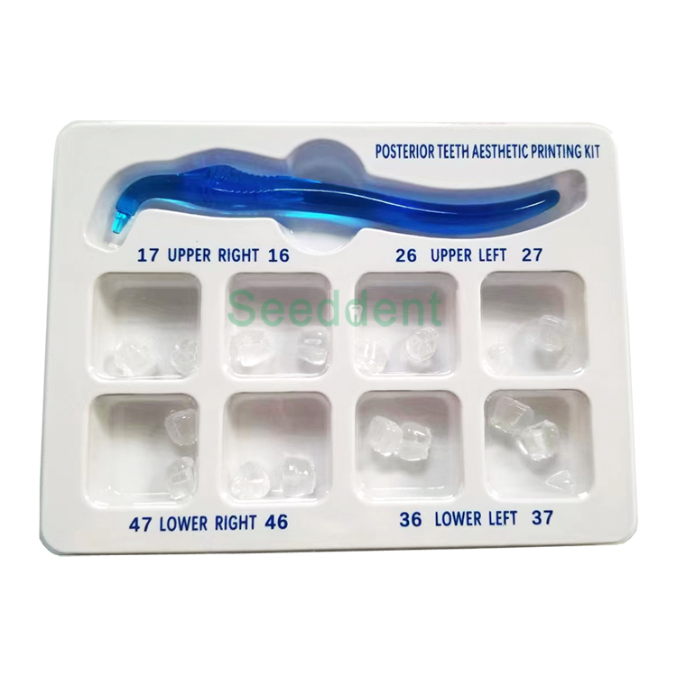Dental Posterior Teeth Aesthetic Printing Kit Tooth Restoration Filling Oral Therapy Tools