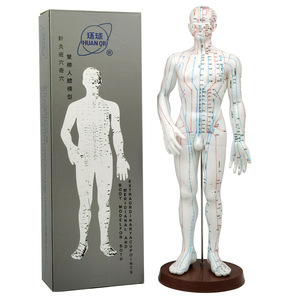 Modelo Global de Meridianos de Acupuntura, Masculino 50cm, Femenino 48cm, Plástico Flexible para Enseñanza y Práctica - Product Image 3