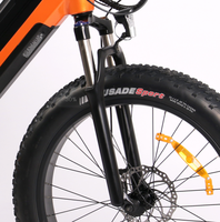 Vélo électrique de montagne à moteur central Bafang M620 M630, autonomie longue distance 120 km, batterie lithium 48V 750W 1000W, écran LCD