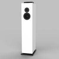 Enceinte sans fil pour système de Home cinéma, haut-parleur multimédia, nouveau, usine professionnelle en bois, livraison à domicile