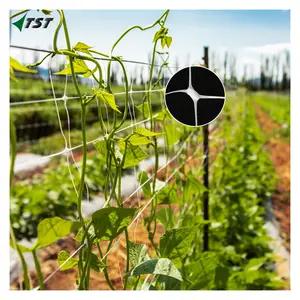 Get A Wholesale garden mesh for climbing plants For Property Protection 