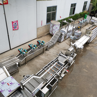 Ligne de production électrique de frites semi-automatique Machine à frites pour légumes surgelés