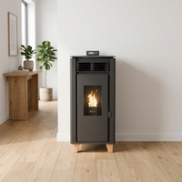 Poêle à granulés à air chaud PS-60 haute efficacité, chauffage autonome au bois et biomasse pour maison, appartement, chauffage intérieur à air chaud
