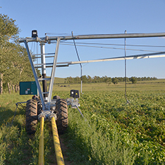 Sistema di Irrigazione Lineare a Spruzzo per Grandi Aziende Agricole 2026: Struttura Razionale e Alta Efficienza Economica - Product Image 2