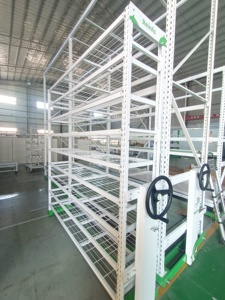 Solución Personalizada de Sistema de Cultivo Hidropónico Vertical NFT para <span class=keywords><strong>Cultivos</strong></span> de Fresas - Product Image 4