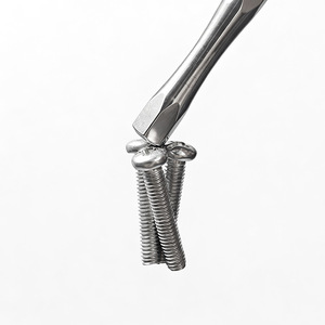 Penggong Mirror Finish Magnetic Phillips Flathead Hexagonal Tapered Waist Screwdriver Bits For General Maintenance Repair - Product Image 1