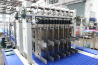 Machine d'emballage automatique d'emballage de film PE d'emballage de jus d'eau en verre en plastique pour plateau en carton et manchon rétractable
