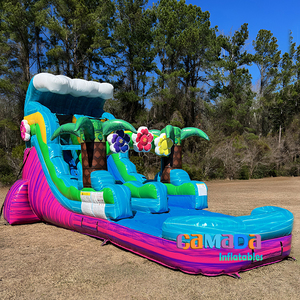 20ft trượt nước <span class=keywords><strong>Inflatable</strong></span> thương mại <span class=keywords><strong>Inflatable</strong></span> trượt nước Hồ bơi bơm hơi khổng lồ trượt - Product Image 5