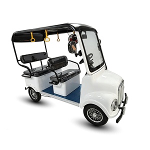 Carrito de Golf Eléctrico de Alta Calidad de 800W y 60V con 4 Ruedas y Asientos de Cuero Suave para Uso en Parques y Resorts, Scooter Eléctrico para Turismo, Mini Golf - Product Image 1