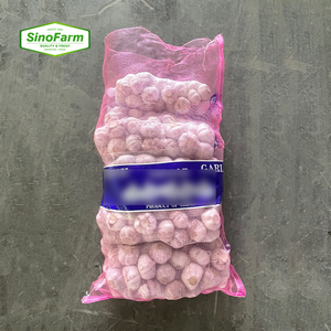 Bán Buôn Trung Quốc Tỏi Tươi Bình Thường Tỏi Trắng Ajo Ail Nhà Máy Giá Rẻ Xuất Khẩu Tỏi Bóc Vỏ - Product Image 4