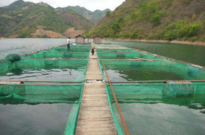 Cage piscicole circulaire HDPE anti-tempête PE piège d'aquaculture en haute mer pour truite - Product Image 2